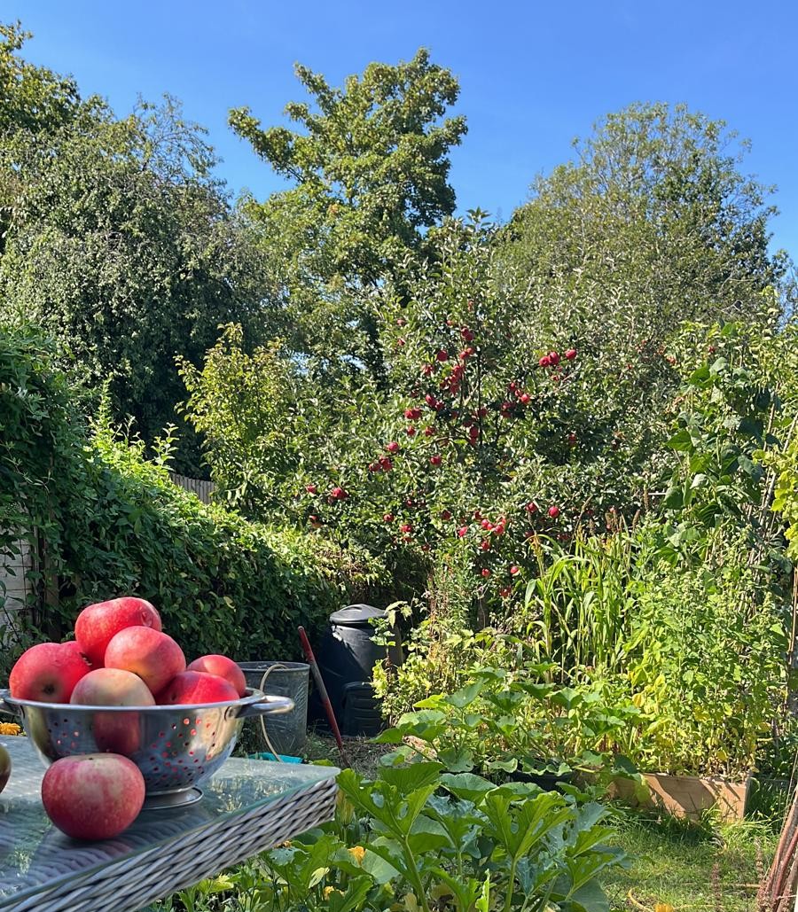 How permaculture changed my life